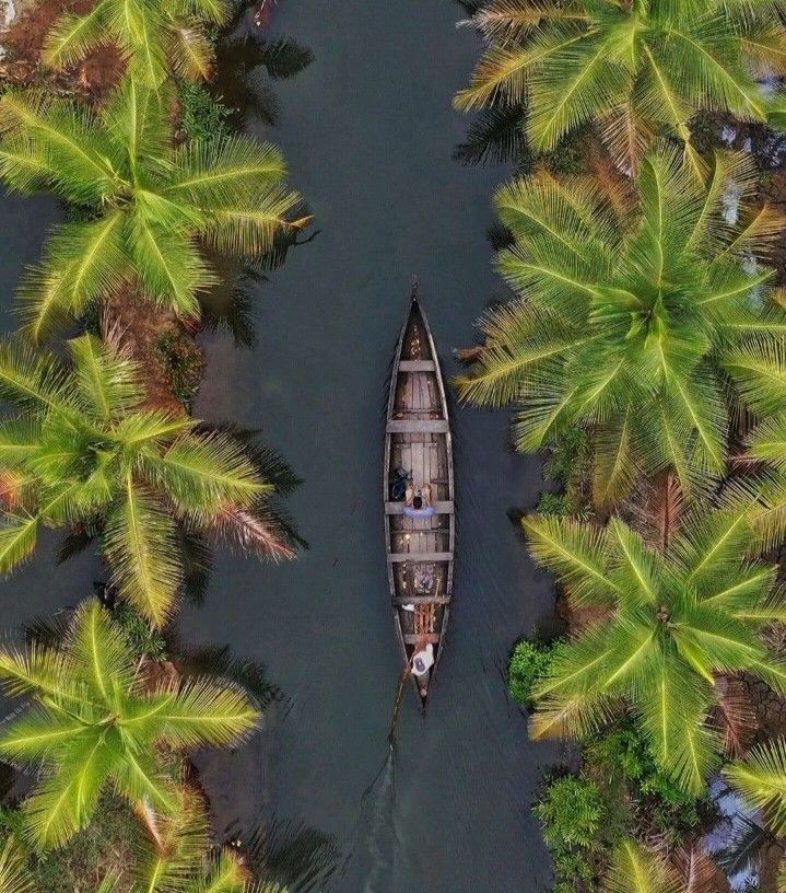 🌴 Kerala and Tamil Nadu Tour Package Tour Package